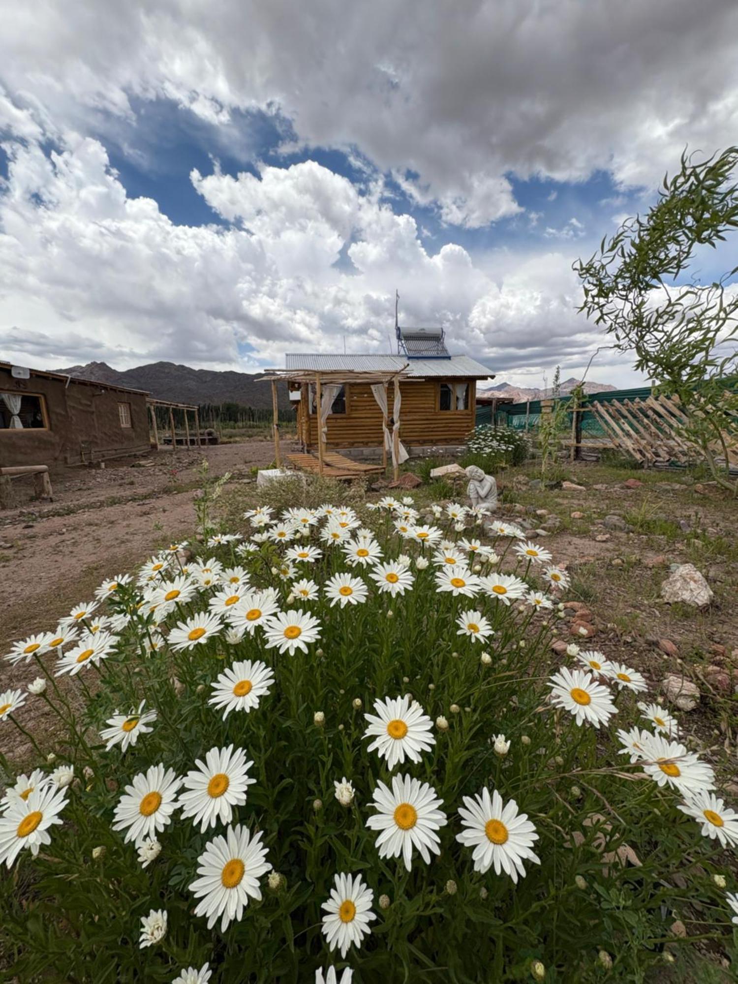 Paramitas Cabanas De Montana 乌斯帕亚塔 外观 照片